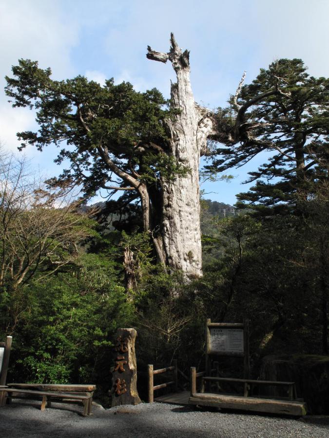 Hotel Yakushima Sanso Eksteriør bilde